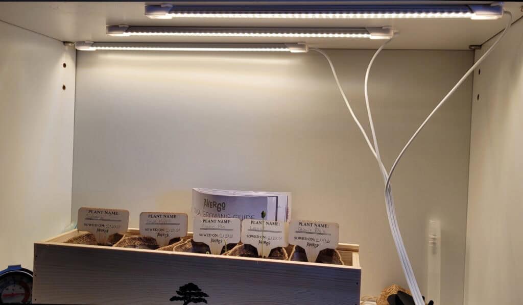 A section of a white bookshelf with 3 strips of LED lights attached to the top. Under the lights is a wooden box containing 5 planters.